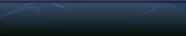 background category section
